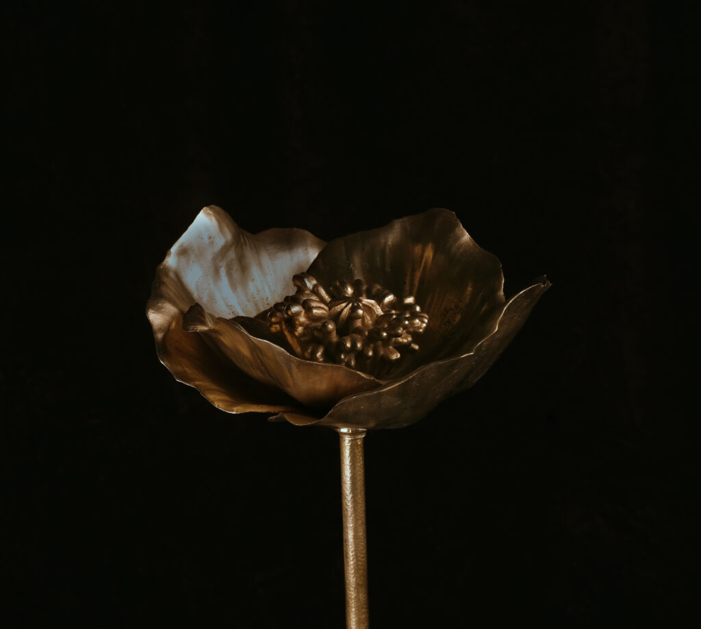 E02155 Full Bloom Poppy I