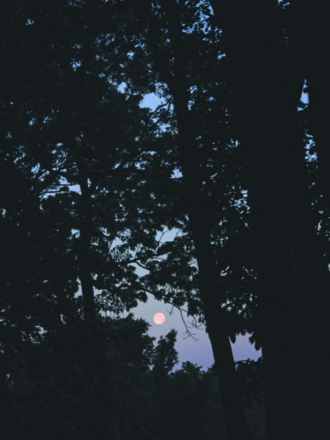 K30007 The moon
