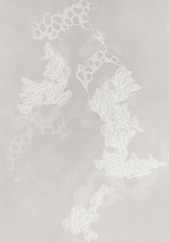 K28926 Futari Nº5